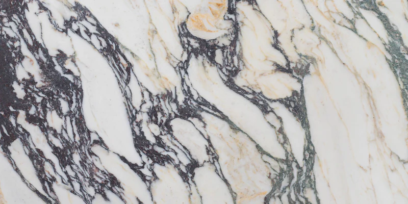 Calacatta Moon honed marble 12" x 24"